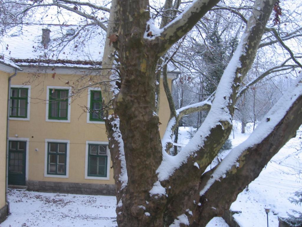 Mater Salvatoris House Hotel Gödöllő Exterior foto